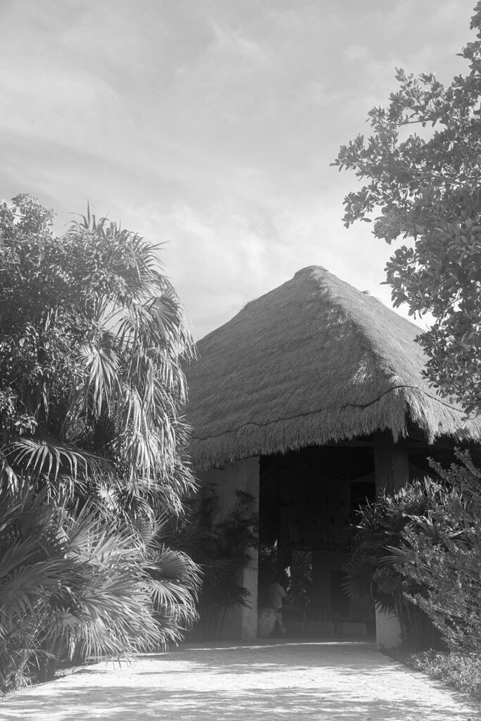 a hut with a straw roof and trees
